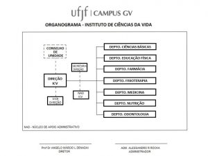 Organograma_ICV_UFJF_GV_horizontal II