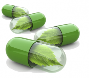 Palestra tem objetivo de legitimar a relevância do uso terapêutico dos canabinoides 