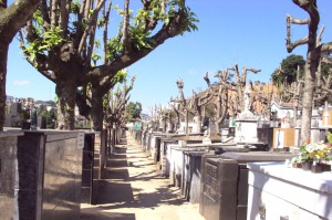 CEmiterio